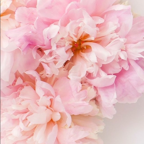 Meet your Posher, Kelly - Picture 1 of 1